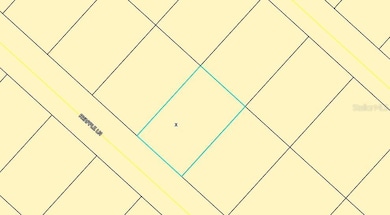 Flood Zone