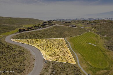 006_05-7429_golden_bear_loop05_outline_5