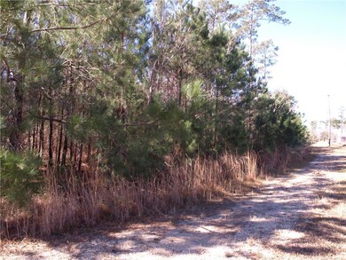 Gravel driveway view from left side of property