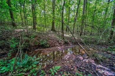 View of nature featuring a wooded view