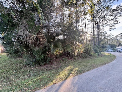 80 Raemoor Dr, Palm Coast, FL 32164 - photo 3