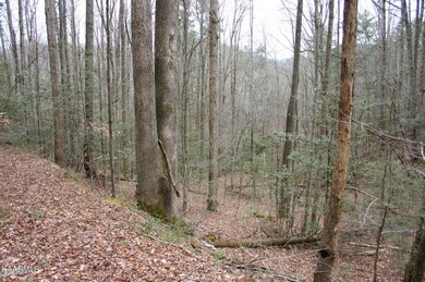 0 Waldens Creek Rd Lot 4r3 unit 1205621, Sevierville, TN 37876 - photo 7