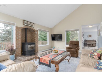 Fireplace Pellet Stove