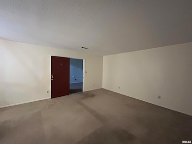 1910 Jeanette Ln unit 2, Springfield, IL 62702 - photo 5