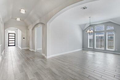 3802 Lake Falls Dr, Fulshear, TX 77441 - photo 7