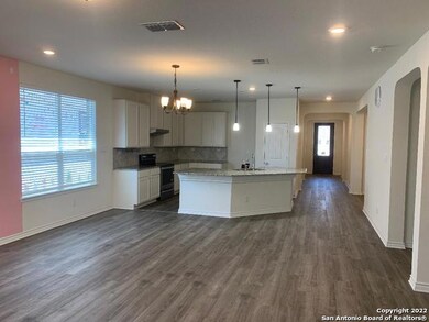 5117 Aloe Vera, San Antonio, TX 78261 - photo 2