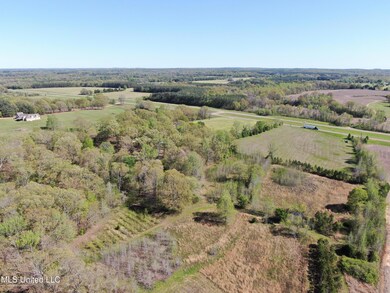 DJI_0173