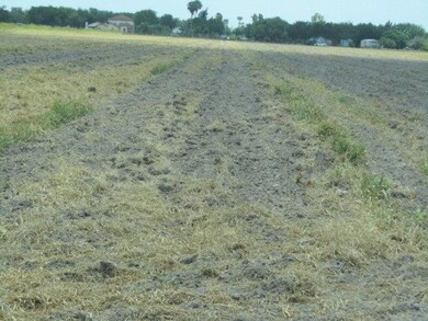 00 E Ridge Rd, Alamo, TX 78501 - photo 2