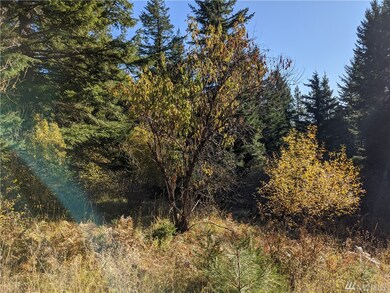 1 Bakers Rd, Cle Elum, WA 98922 - photo 4