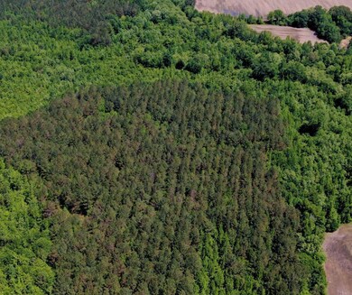 + - 69 Acres unit Calhoun County MS, Bruce, MS 38915 - photo 2