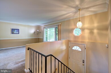 65 Eustace Rd, Stafford, VA 22554 - photo 4