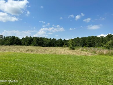 IMG_8408