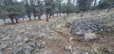 Unit 1 Lot 16 Lake Shore Dr unit 1, Weed, CA 96094 - photo 5