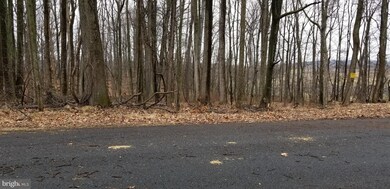 0 LOT 209 Woodcrest Dr, Gainesboro, VA 22603 - photo 4