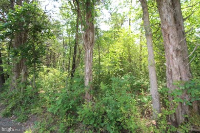 0 Catlett School Rd unit VAFQ2012736, Catlett, VA 20119 - photo 4