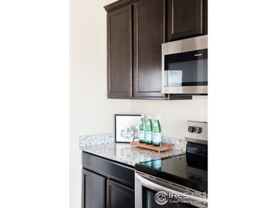 6223 Oak Grove St, Timnath, CO 80547 - photo 7