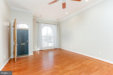 1017 W Barre St, Baltimore, MD 21230 - photo 3