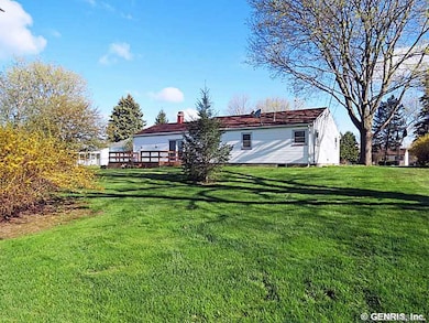 Backyard.