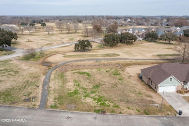 Tbd Hummingbird Ln, New Iberia, LA 70560 - photo 3