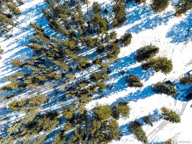 405 Silvermoon Heights, Divide, CO 80814 - photo 7