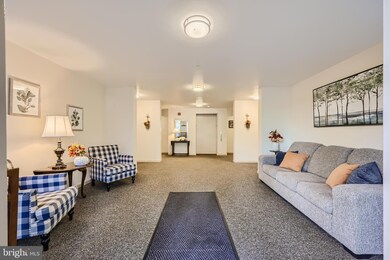 3907 Hannon Ct unit 1B, Nottingham, MD 21236 - photo 5