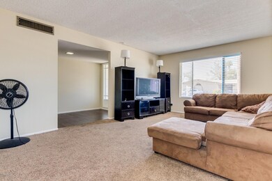 0004-Del Oro - 2304 (4)
