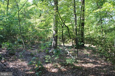 0 Brush Leaf Ln unit VASH121532, Mount Jackson, VA 22842 - photo 6