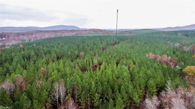 2346 Poole Town Rd, Asheboro, NC 27205 - photo 3