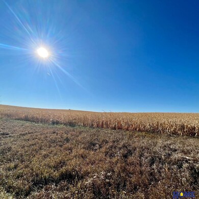 40 Acres County Rd A & County Rd 22, Ceresco, NE 68017 - photo 5