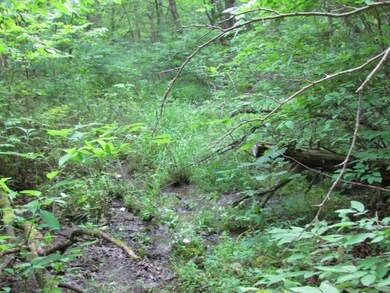 12564 Parker Branch Rd, West Fork, AR 72774 - photo 7