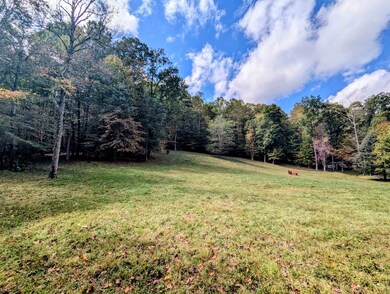 173 Hubbard Rd SW, Willis, VA 24380 - photo 6