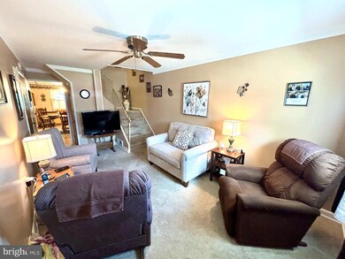 847 N Halstead St, Allentown, PA 18109 - photo 3