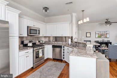 502 Mathias Hammond Way unit 101, Annapolis, MD 21401 - photo 7