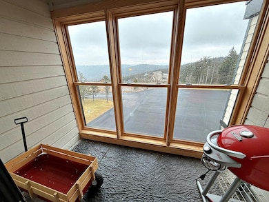 301 A Snowcrest, Snowshoe, WV 26209 - photo 7