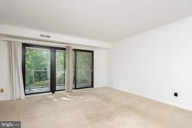 101 Fitz Ct unit 202, Reisterstown, MD 21136 - photo 7