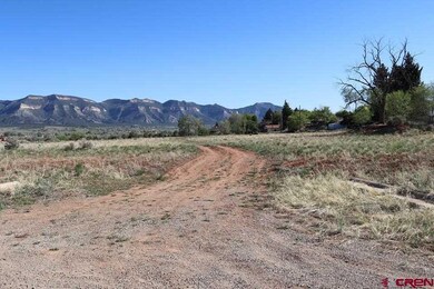 535 Juniper Place, Cortez, CO 81321 - photo 2