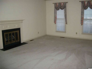 Electric Insert In FirePlace