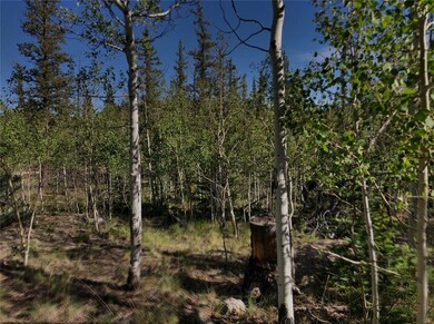 452 Kodiak Rd, Como, CO 80432 - photo 4