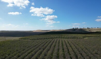 13571 Wimer, Farmington, CA 95326 - photo 5