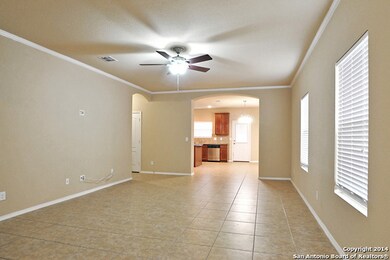 11223 Schinz Field, Helotes, TX 78023 - photo 3