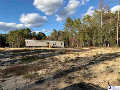 351 Jackson St, Hartsville, SC 29550 - photo 6