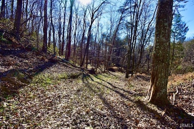 0 Ebeneezer Rd unit 202547593, Tennyson, IN 47637 - photo 7