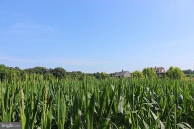 4 Possum Point Farm, Centreville, MD 21617 - photo 7