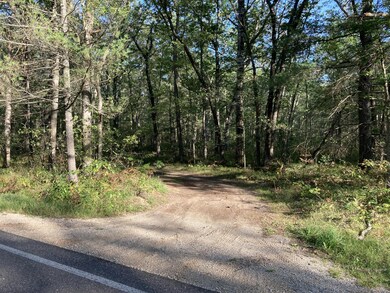 PAR 6 Cleveland Dr W, Lilley Township, MI 49309 - photo 4