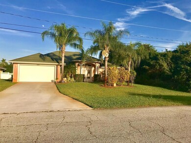 Beautifully Manicured Lawn