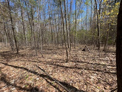 R19C Sunset Rd, Sanford, ME 04083 - photo 5