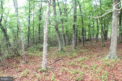 88.25 ACS Wilderness Way, Petersburg, WV 26847 - photo 5