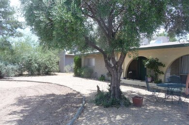 Front Yard Detail