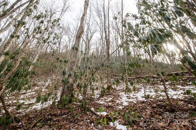 00 Lori Ln, Whittier, NC 28789 - photo 5