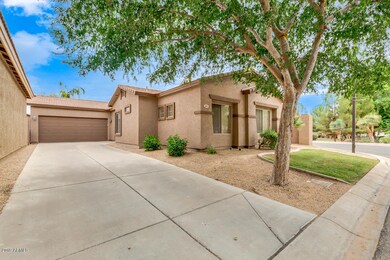 505 E San Carlos Way, Chandler, AZ 85249 - photo 2